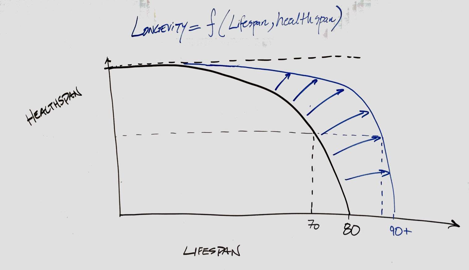 Healthspan vs. Lifespan